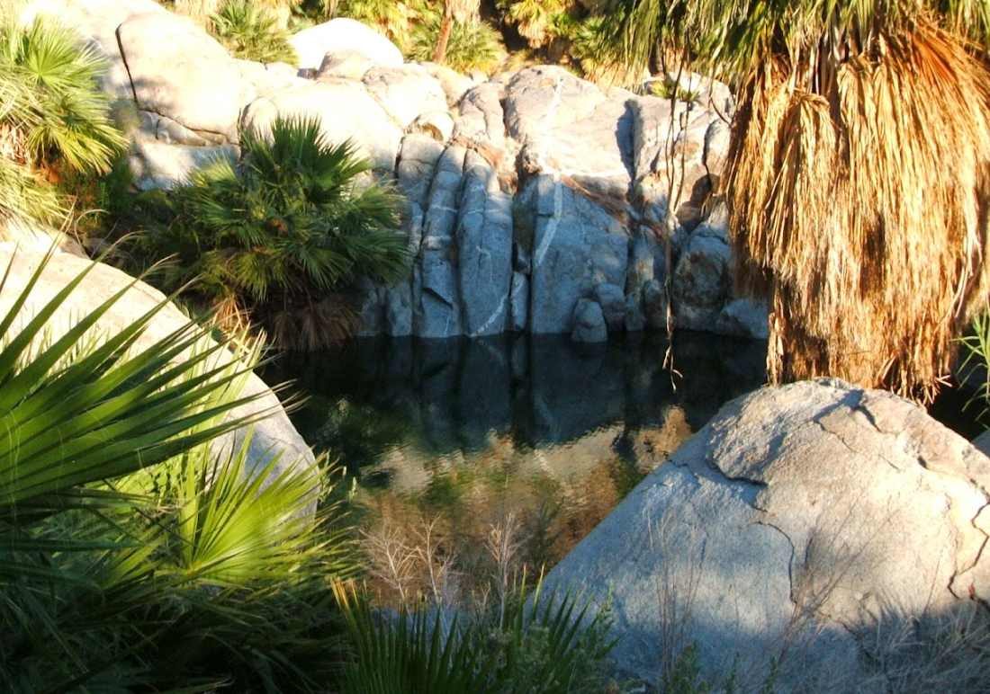 Cañón de Guadalupe Mexicali hot springs in the desert