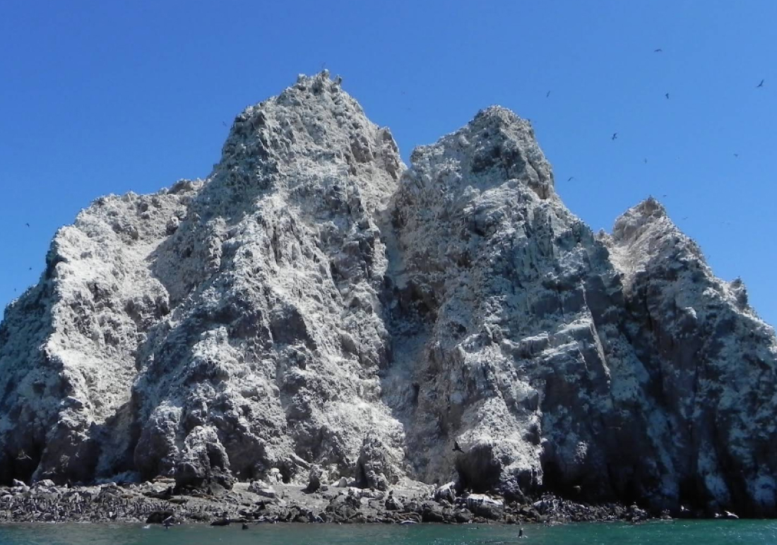 Roca Consag San Felipe sea lions and boat tour