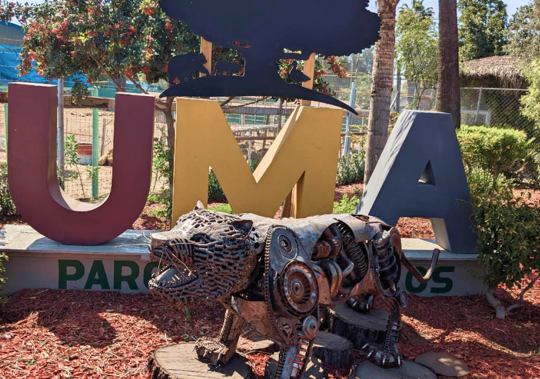 Lake view at Parque Morelos Tijuana – Baja family trip